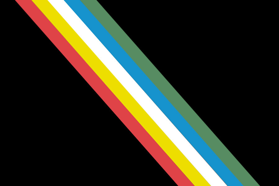 the disability pride flag